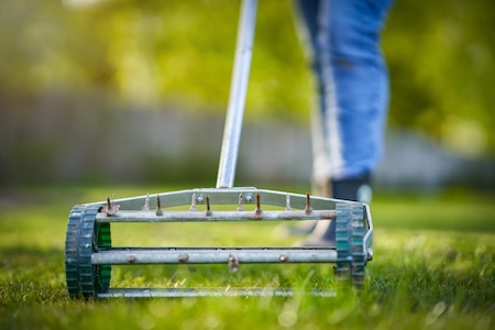 Aeration vs. Overseeding: What Wichita Lawns Actually Need (and When)