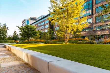 Expert Commercial Lawn Care Services for a Professional Appearance