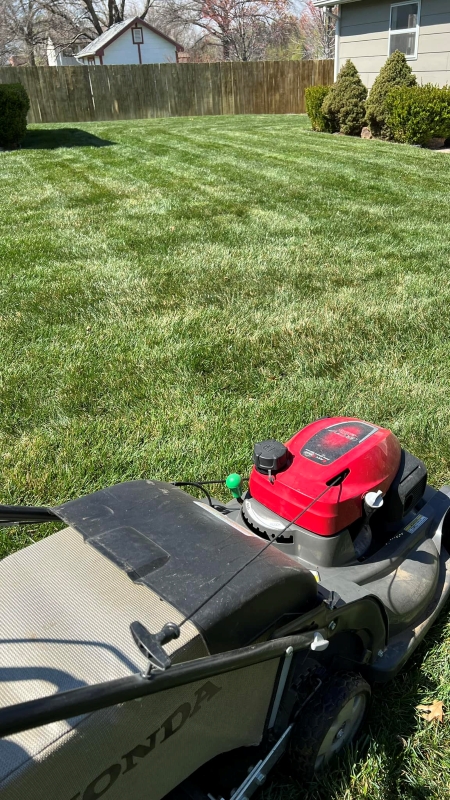 How Often Should You Mow Your Wichita Lawn in Each Season?