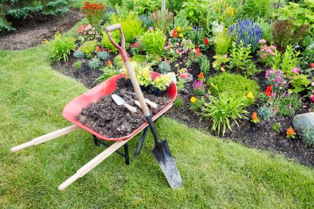 Landscaping